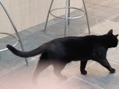 Enlarge photo 29