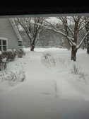 Enlarge photo 16