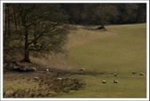 Enlarge photo 40