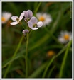 Enlarge photo 39