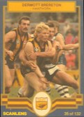 Hawthorn Team of the Century