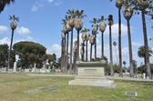 Enlarge photo 33