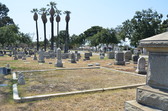 Enlarge photo 36