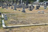 Enlarge photo 37
