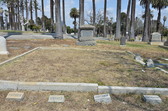 Enlarge photo 40
