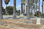 Enlarge photo 42