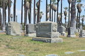 Enlarge photo 43