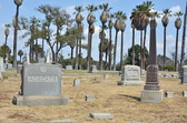 Enlarge photo 45