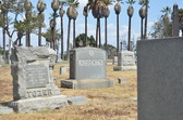 Enlarge photo 46