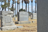 Enlarge photo 47
