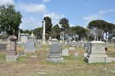 Enlarge photo 48
