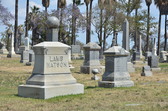 Enlarge photo 49