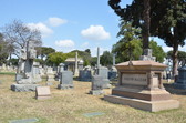 Enlarge photo 51