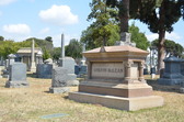 Enlarge photo 52