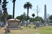 Enlarge photo 54
