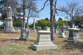 Enlarge photo 56