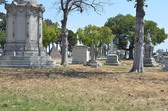 Enlarge photo 59