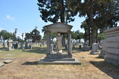 Enlarge photo 62