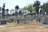 Enlarge photo 64