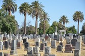 Enlarge photo 33