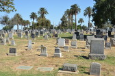 Enlarge photo 34