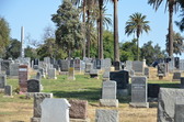 Enlarge photo 36