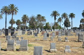 Enlarge photo 38