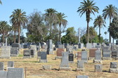 Enlarge photo 39