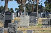 Enlarge photo 41