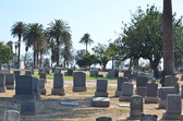 Enlarge photo 43