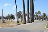 Enlarge photo 47
