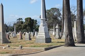 Enlarge photo 48