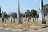Enlarge photo 49