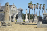 Enlarge photo 60