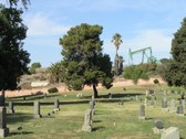 Enlarge photo 28