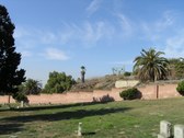 Enlarge photo 31