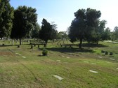 Enlarge photo 35