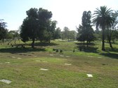 Enlarge photo 36