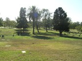 Enlarge photo 37