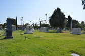 Enlarge photo 28