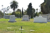 Enlarge photo 34