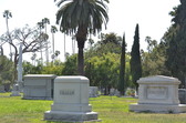 Enlarge photo 36
