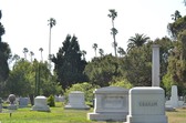 Enlarge photo 38