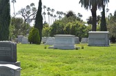Enlarge photo 39