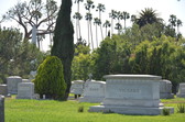 Enlarge photo 40