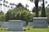 Enlarge photo 41