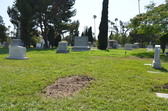 Enlarge photo 43
