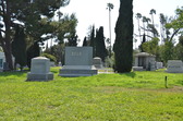 Enlarge photo 44
