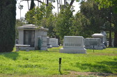 Enlarge photo 45