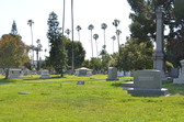 Enlarge photo 46